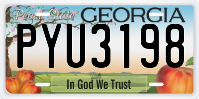 GA license plate PYU3198