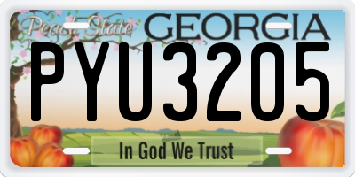 GA license plate PYU3205