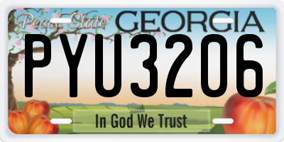 GA license plate PYU3206