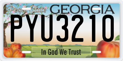 GA license plate PYU3210