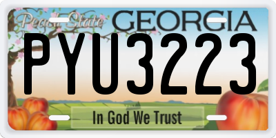 GA license plate PYU3223