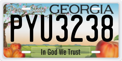 GA license plate PYU3238