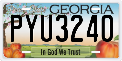 GA license plate PYU3240