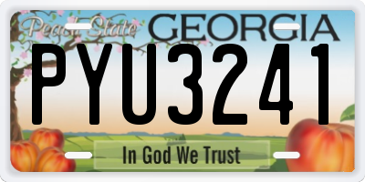 GA license plate PYU3241