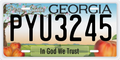 GA license plate PYU3245