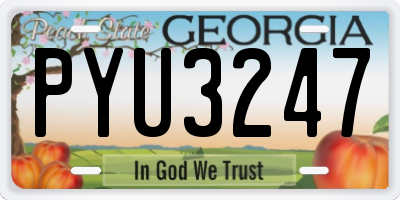 GA license plate PYU3247