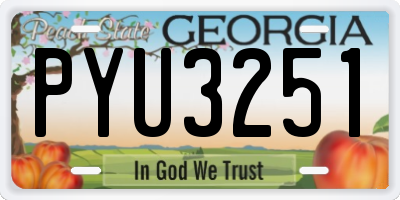 GA license plate PYU3251