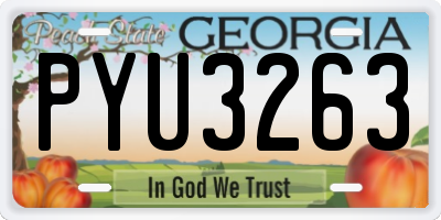 GA license plate PYU3263