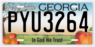 GA license plate PYU3264
