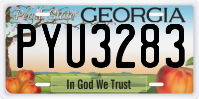 GA license plate PYU3283