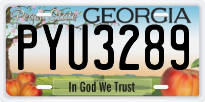 GA license plate PYU3289