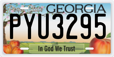 GA license plate PYU3295