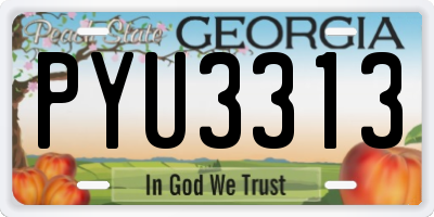 GA license plate PYU3313
