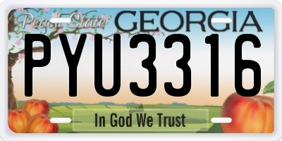 GA license plate PYU3316