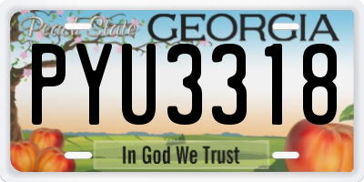 GA license plate PYU3318