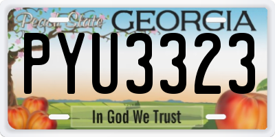 GA license plate PYU3323