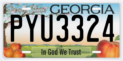 GA license plate PYU3324