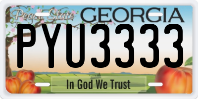 GA license plate PYU3333