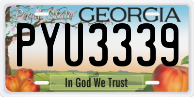 GA license plate PYU3339