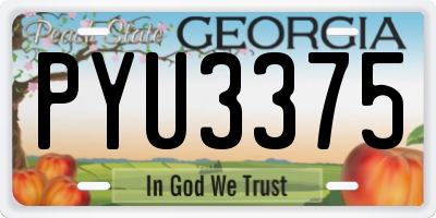 GA license plate PYU3375