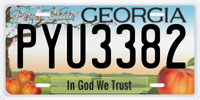 GA license plate PYU3382