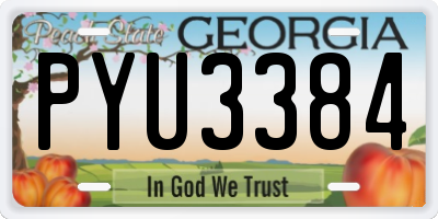 GA license plate PYU3384