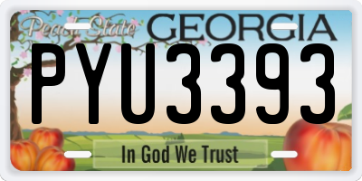 GA license plate PYU3393
