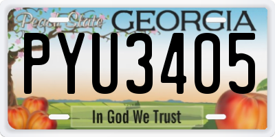 GA license plate PYU3405