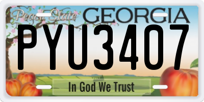 GA license plate PYU3407
