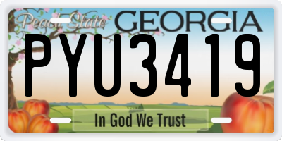 GA license plate PYU3419