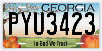 GA license plate PYU3423