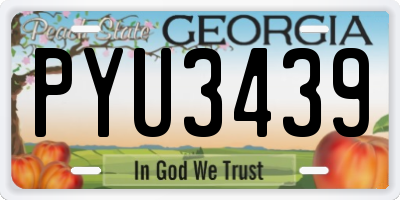 GA license plate PYU3439