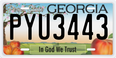 GA license plate PYU3443