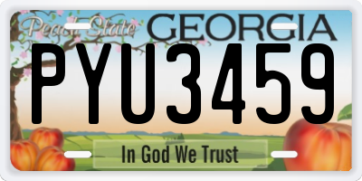 GA license plate PYU3459