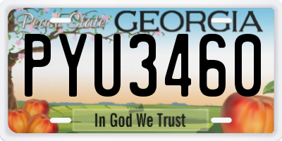 GA license plate PYU3460