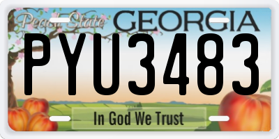 GA license plate PYU3483