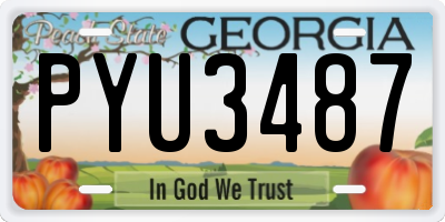 GA license plate PYU3487