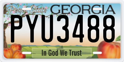 GA license plate PYU3488