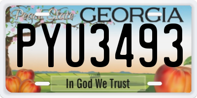 GA license plate PYU3493