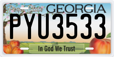 GA license plate PYU3533