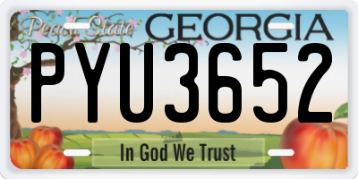 GA license plate PYU3652