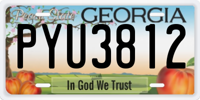 GA license plate PYU3812