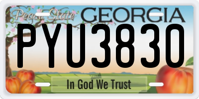 GA license plate PYU3830