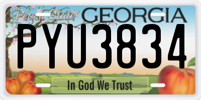 GA license plate PYU3834