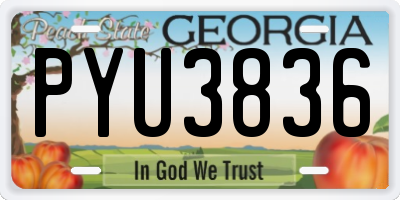 GA license plate PYU3836