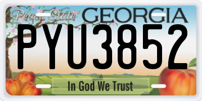 GA license plate PYU3852