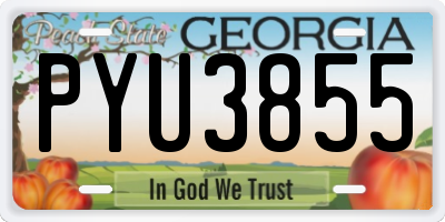 GA license plate PYU3855