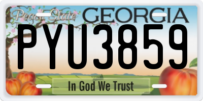 GA license plate PYU3859