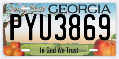 GA license plate PYU3869