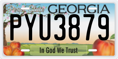 GA license plate PYU3879